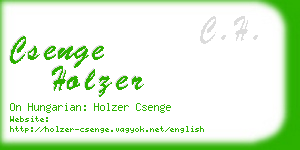 csenge holzer business card